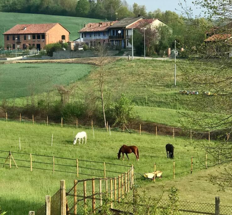 Appartamento In Cascina -La Cascinetta Di Ali- Roatto Экстерьер фото